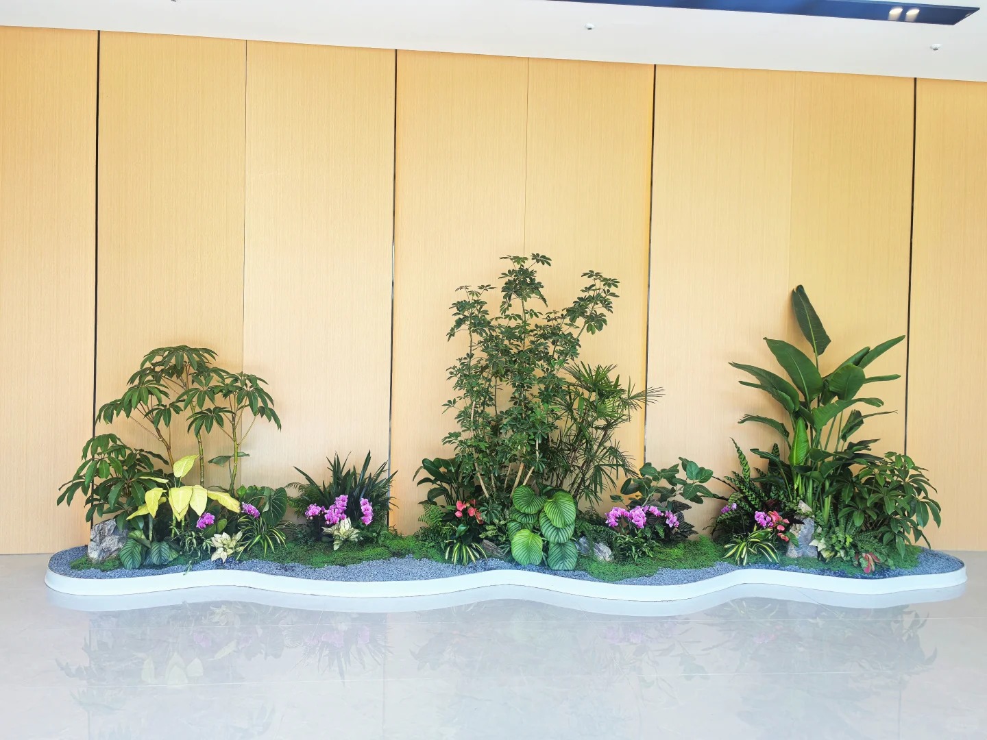 了解前湾植物租摆方案，打造魅力办公区域